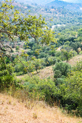 Similar image 16223870