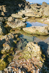 Similar image 16223892