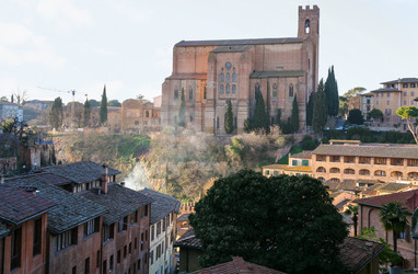 Similar image 16223999