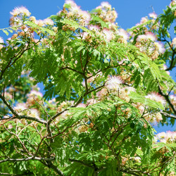 Similar image 16224098