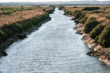 Similar image 16224524