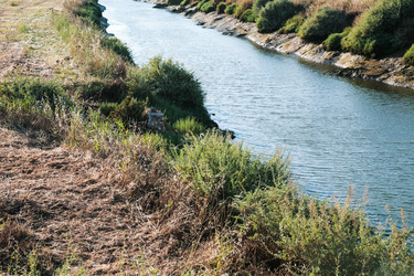 Similar image 16224544