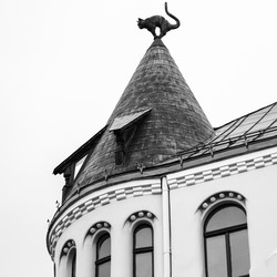 Similar image 16223747