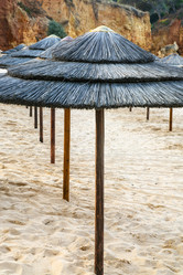 Similar image 16223813