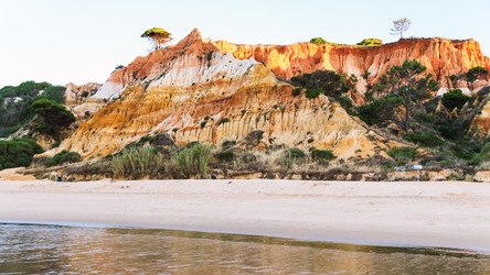 Similar image 16223859