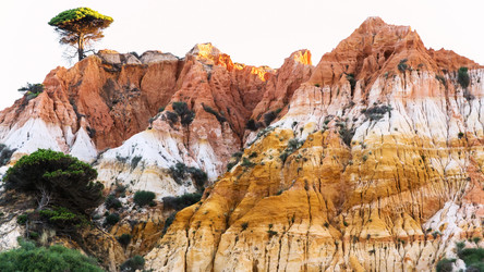 Similar image 16223861