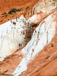 Similar image 16223879