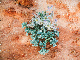 Similar image 16223880