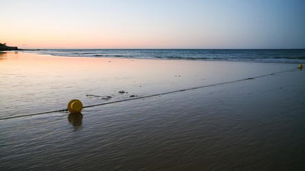 Similar image 16223893