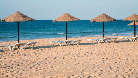 Similar image 16223898