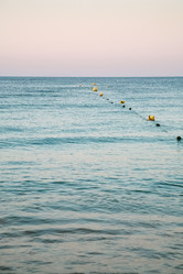 Similar image 16223937