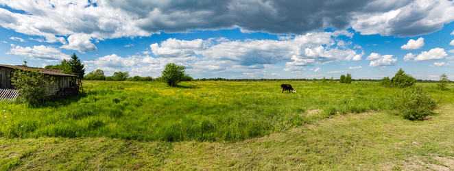 Similar image 15570618