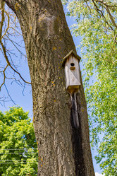 Similar image 15570716