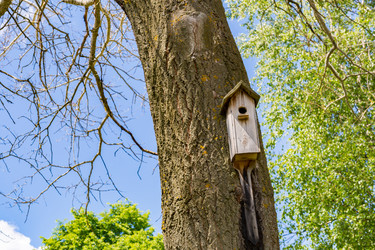 Similar image 15570717