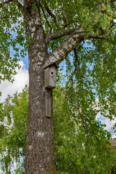 Similar image 15570718