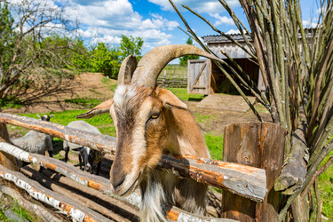 Similar image 15570671