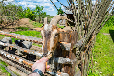 Similar image 15570672