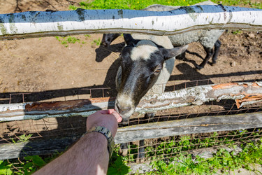 Similar image 15570673