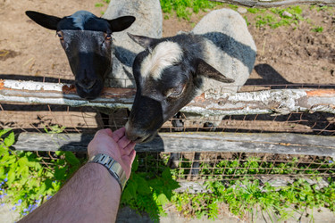 Similar image 15570674