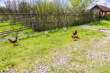 Similar image 15570676