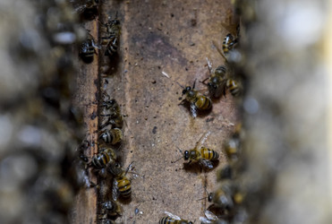 Similar image 16222901