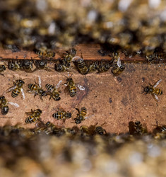 Similar image 16222499