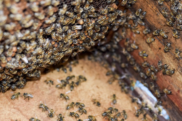 Similar image 16222555