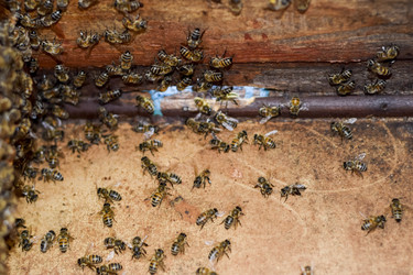 Similar image 16222556