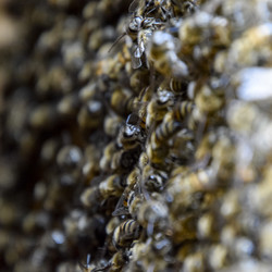 Similar image 16222467