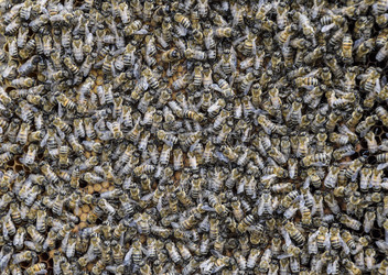 Similar image 16263659