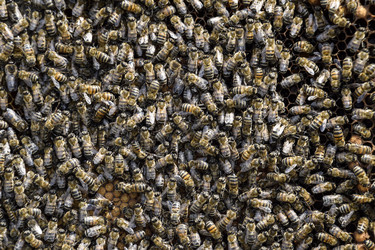 Similar image 16264609