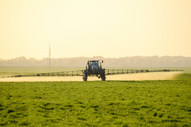 Similar image 16263688