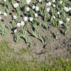 Similar image 16222259