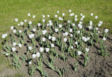 Similar image 16222271