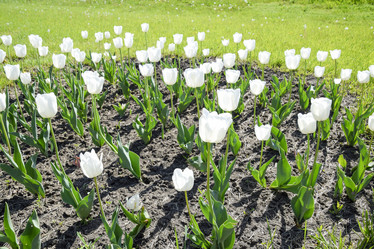 Similar image 16222250