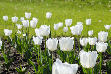 Similar image 16222904