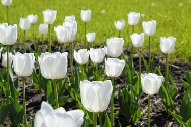 Similar image 16222905