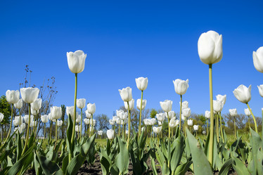 Similar image 16222472