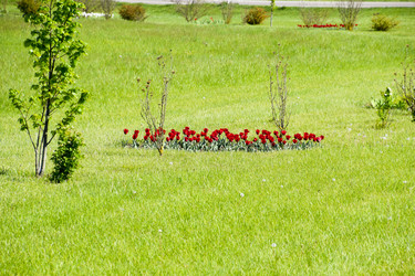 Similar image 16264638