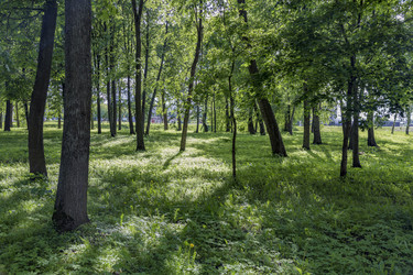 Similar image 15571083