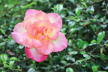 Similar image 15918917