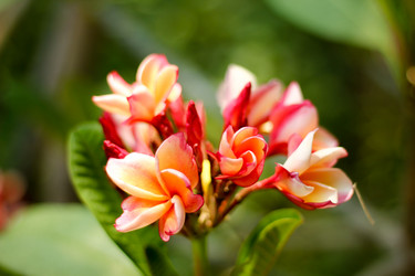 Similar image 15918918