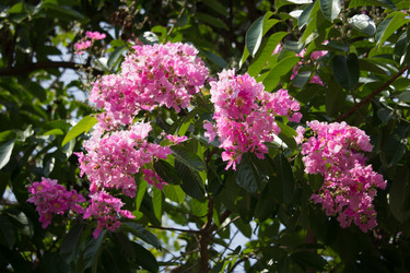 Similar image 15918884