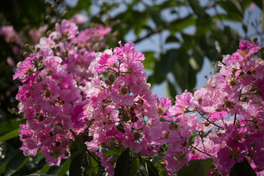 Similar image 15918885