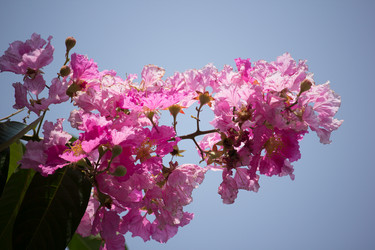 Similar image 15918887