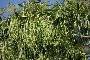 Similar image 15918890