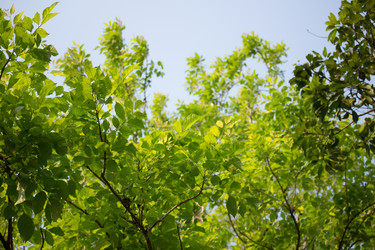 Similar image 15918905