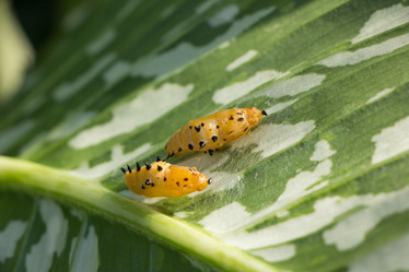 Similar image 15918906