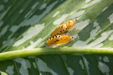 Similar image 15918921