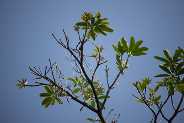 Similar image 15918907